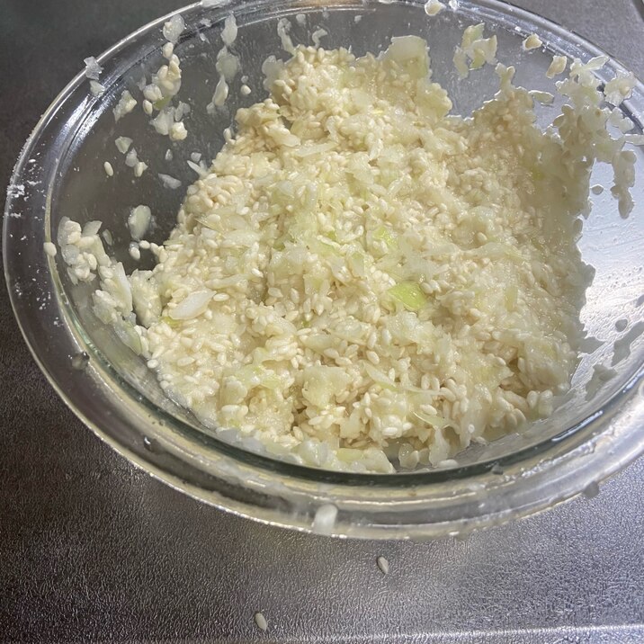 簡単発酵食品!玉ねぎ麹